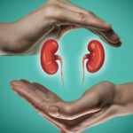 The Best Beverages for Supporting Your Kidneys